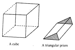 RD Sharma Class 8 Solutions Chapter 19 Visualising Shapes Ex 19.2 11