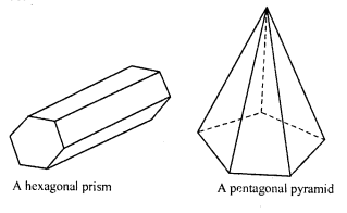 RD Sharma Class 8 Solutions Chapter 19 Visualising Shapes Ex 19.2 12