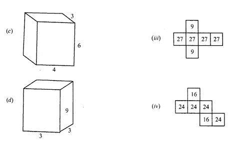 RD Sharma Class 8 Solutions Chapter 19 Visualising Shapes Ex 19.2 18