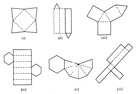 RD Sharma Class 8 Solutions Chapter 19 Visualising Shapes Ex 19.2 2