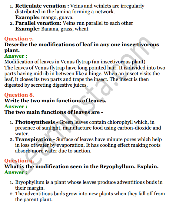 Selina Concise Biology Class 6 ICSE Solutions Chapter 1 The Leaf 5