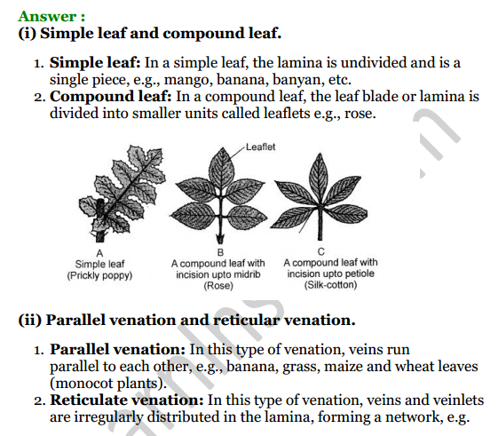 Selina Concise Biology Class 6 ICSE Solutions Chapter 1 The Leaf 7