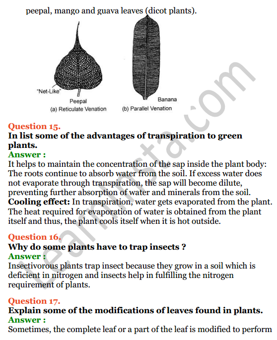 Selina Concise Biology Class 6 ICSE Solutions Chapter 1 The Leaf 8