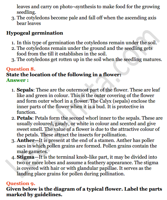Selina Concise Biology Class 6 ICSE Solutions Chapter 2 The Flower 14