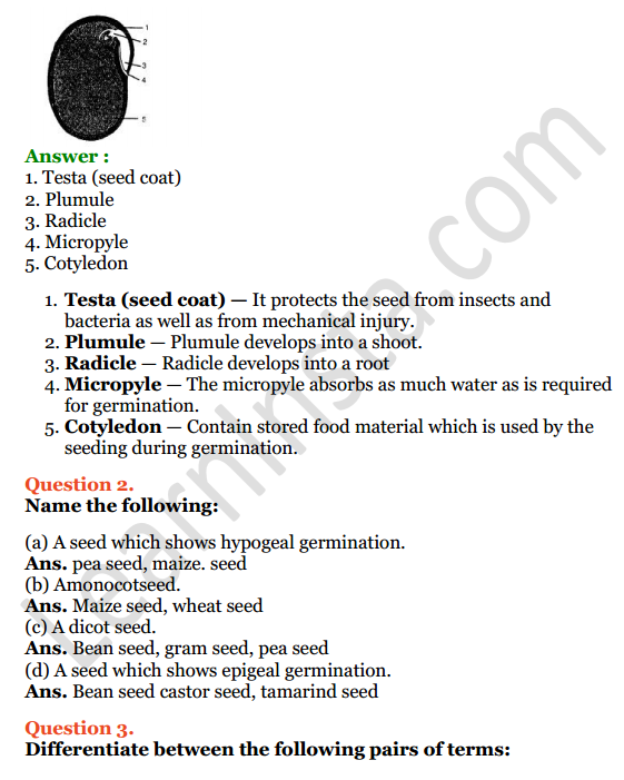 Selina Concise Biology Class 6 ICSE Solutions Chapter 2 The Flower 3