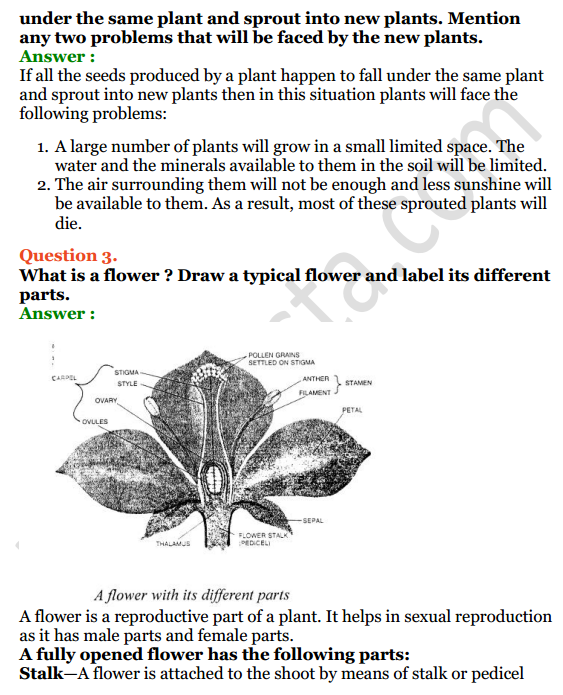 Selina Concise Biology Class 6 ICSE Solutions Chapter 2 The Flower 8