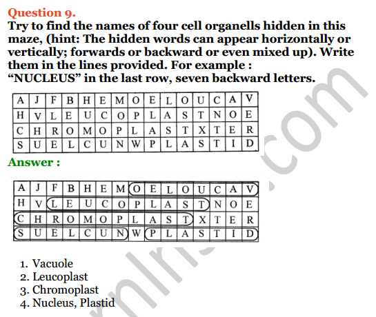 Selina Concise Biology Class 6 ICSE Solutions Chapter 3 Cell - The Structure and Functions 6