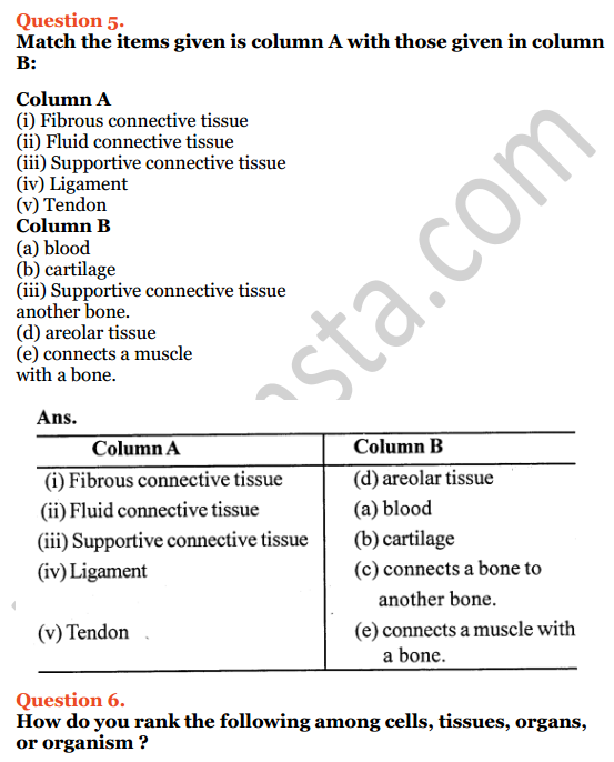 Selina Concise Biology Class 7 ICSE Solutions Chapter 1 Plant And Animal Tissues Selina Concise Biology Class 7 ICSE Solutions Chapter 1 Plant And Animal Tissues