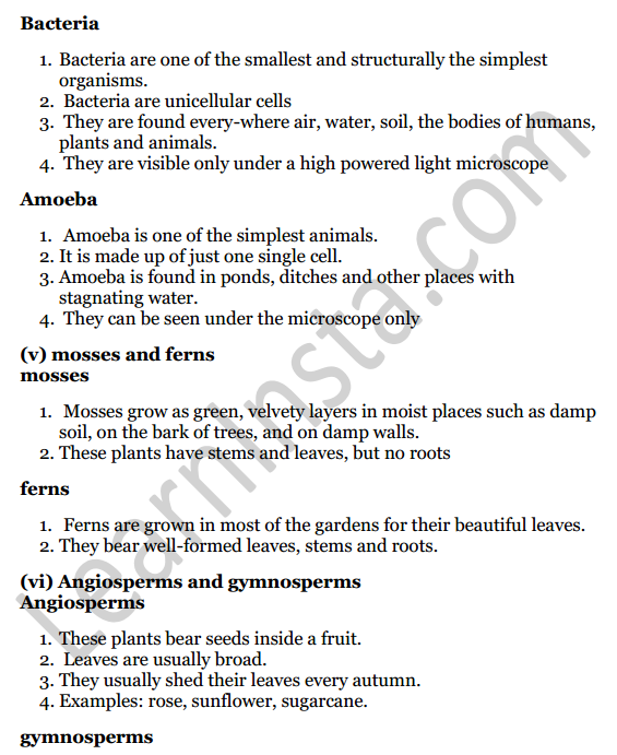 Selina Concise Biology Class 7 ICSE Solutions Chapter 2 Classification of Plants 4