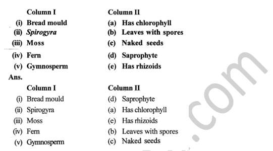 Selina Concise Biology Class 7 ICSE Solutions Chapter 2 Classification of Plants 6