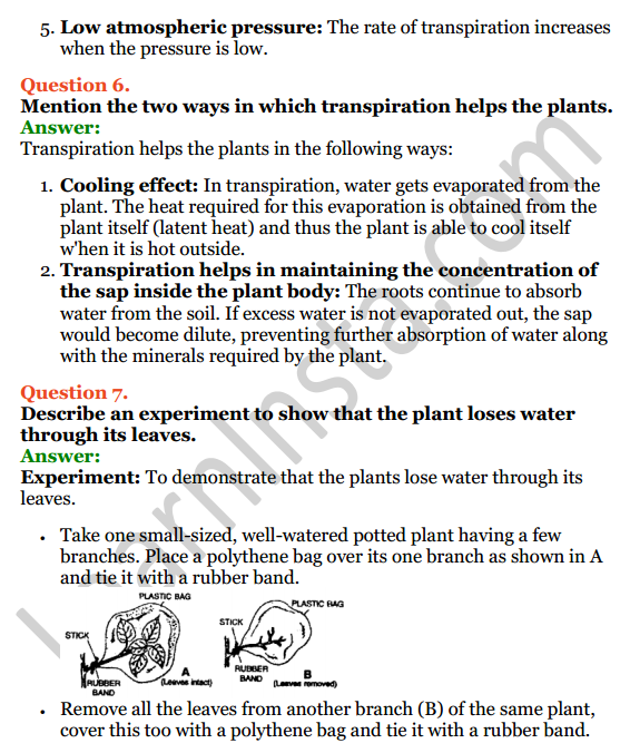 Selina Concise Biology Class 8 ICSE Solutions Chapter 1 Transportation in Plants 15