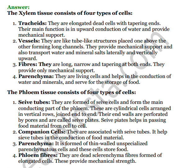 Selina Concise Biology Class 8 ICSE Solutions Chapter 1 Transportation in Plants 17
