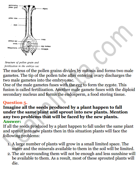 Selina Concise Biology Class 8 ICSE Solutions Chapter 2 Reproduction in Plants 5