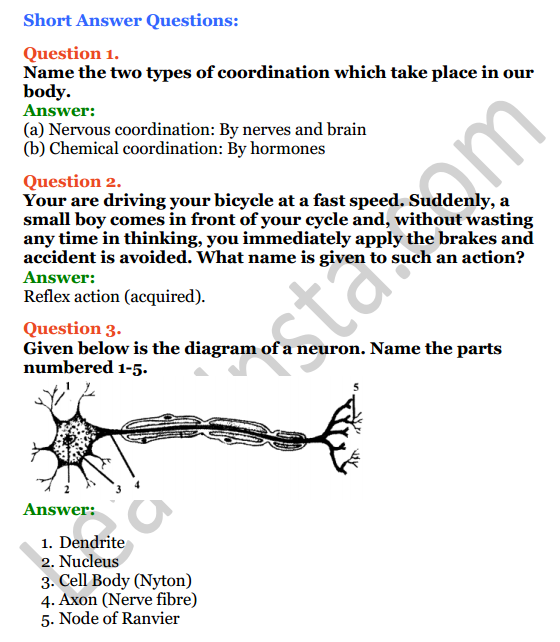 Selina Concise Biology Class 8 ICSE Solutions Chapter 7 Nervous System 2