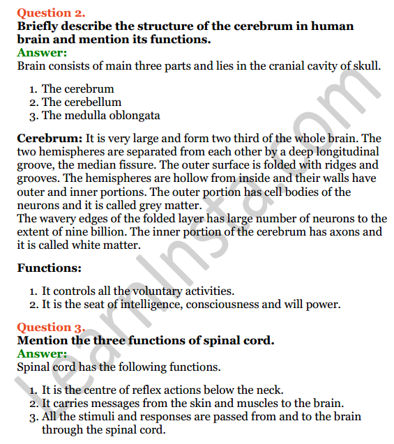 Selina Concise Biology Class 8 ICSE Solutions Chapter 7 Nervous System 6