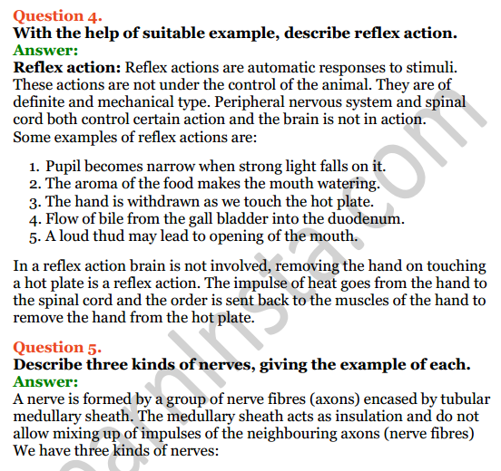 Selina Concise Biology Class 8 ICSE Solutions Chapter 7 Nervous System 7
