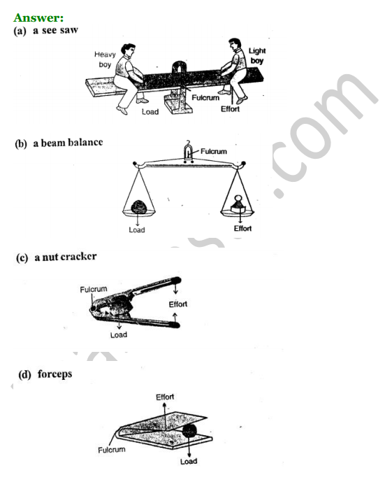Selina Concise Physics Class 6 ICSE Solutions Chapter 4 Simple Machines 11