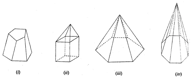 ML Aggarwal Class 8 Solutions for ICSE Maths Chapter 17 Visualising Solid Shapes Ex 17.2 4