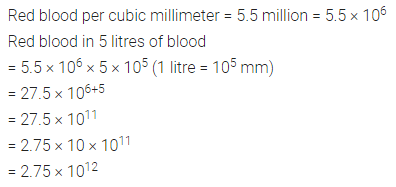 ML Aggarwal Class 8 Solutions for ICSE Maths Chapter 2 Exponents and Powers Ex 2.2 6