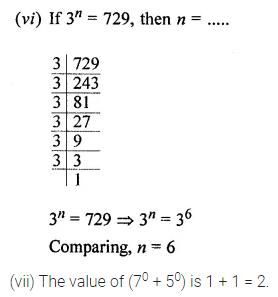 ML Aggarwal Class 8 Solutions for ICSE Maths Chapter 2 Exponents and Powers Objective Type Questions 2