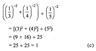 ML Aggarwal Class 8 Solutions for ICSE Maths Chapter 2 Exponents and Powers Objective Type Questions 6