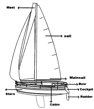 NCERT Solutions for Class 11 English Hornbill Chapter 2 We’re Not Afraid to Die