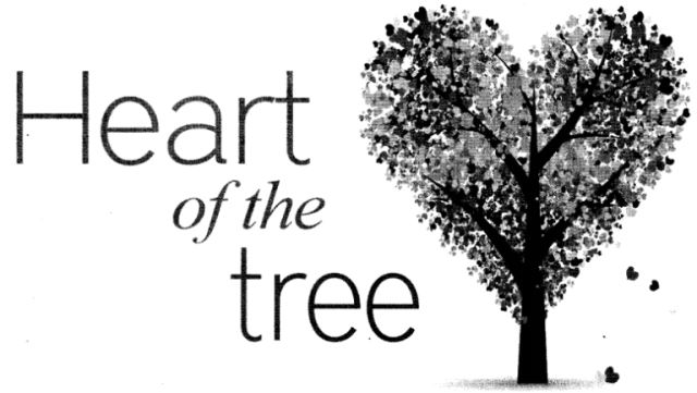 The Heart of a Tree Poem Summary