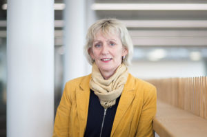 The Wonderful Words Summary by Mary O Neill