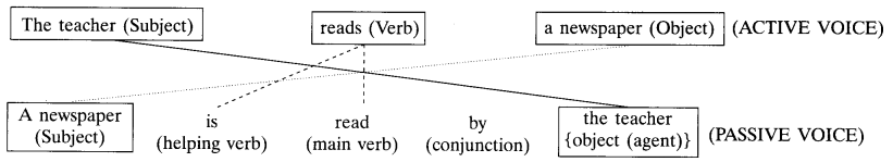 Active and Passive Voice Exercises for Class 10 CBSE