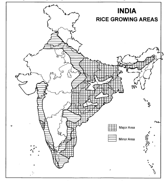 Class 10 Geography Chapter 4 Extra Questions and Answers Agriculture 2