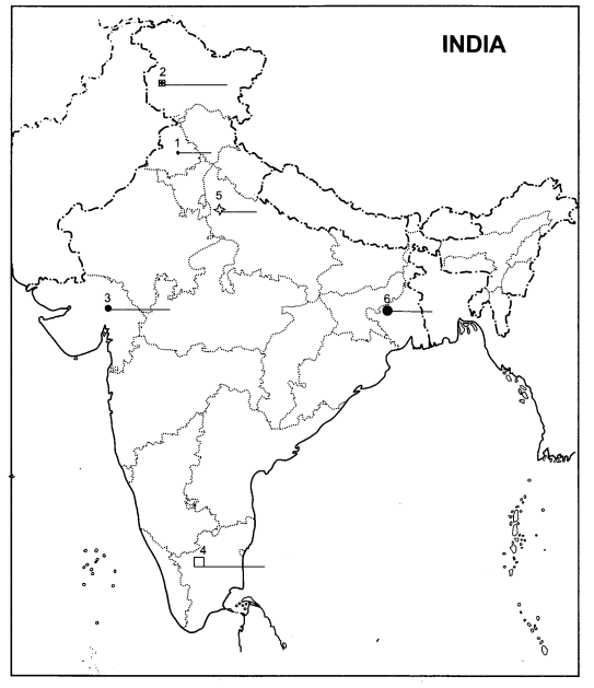 Class 10 Geography Chapter 6 Extra Questions and Answers Manufacturing Industries 5