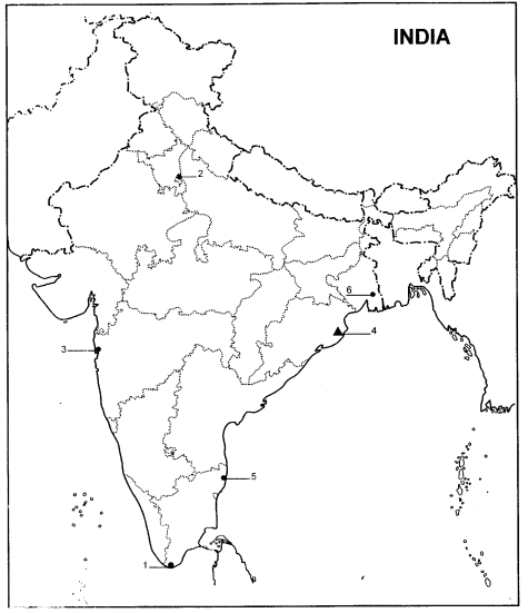 Class 10 Geography Chapter 7 Extra Questions and Answers Lifelines of National Economy 6