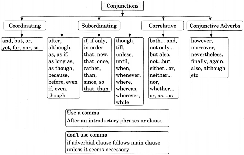 Conjunctions Exercises For Class 8 CBSE With Answers