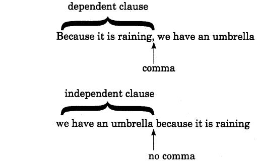 Conjunctions Exercises for Class 8