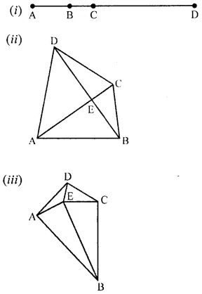 ML Aggarwal Class 6 Solutions for ICSE Maths Chapter 10 Basic Geometrical Concept Ex 10.1 13