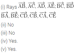 ML Aggarwal Class 6 Solutions for ICSE Maths Chapter 10 Basic Geometrical Concept Ex 10.1 16