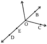 ML Aggarwal Class 6 Solutions for ICSE Maths Chapter 10 Basic Geometrical Concept Ex 10.1 5