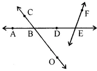 ML Aggarwal Class 6 Solutions for ICSE Maths Chapter 10 Basic Geometrical Concept Ex 10.1 7