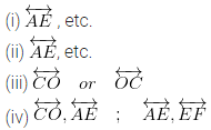 ML Aggarwal Class 6 Solutions for ICSE Maths Chapter 10 Basic Geometrical Concept Ex 10.1 8