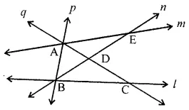 ML Aggarwal Class 6 Solutions for ICSE Maths Chapter 10 Basic Geometrical Concept Ex 10.1 9