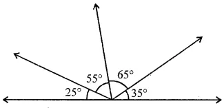 ML Aggarwal Class 6 Solutions for ICSE Maths Chapter 11 Understanding Symmetrical Shapes Objective Type Questions 10