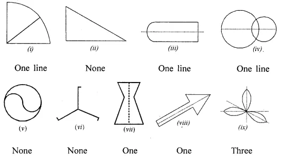 ML Aggarwal Class 6 Solutions for ICSE Maths Chapter 12 Symmetry Ex 12.1 2