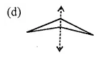 ML Aggarwal Class 6 Solutions for ICSE Maths Chapter 12 Symmetry Objective Type Questions 11