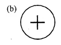 ML Aggarwal Class 6 Solutions for ICSE Maths Chapter 12 Symmetry Objective Type Questions 13