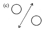 ML Aggarwal Class 6 Solutions for ICSE Maths Chapter 12 Symmetry Objective Type Questions 15