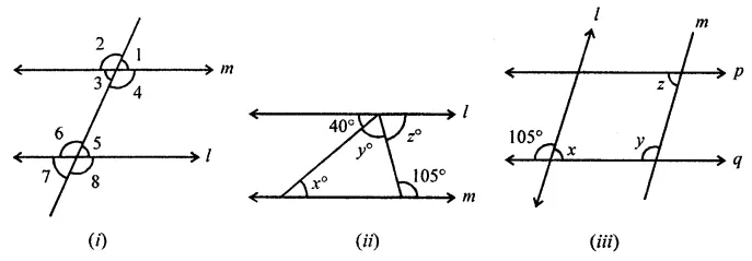 ML Aggarwal Class 7 Solutions for ICSE Maths Chapter 10 Lines and Angles Check Your Progress 8