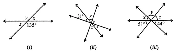 ML Aggarwal Class 7 Solutions for ICSE Maths Chapter 10 Lines and Angles Ex 10.1 15