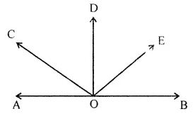 ML Aggarwal Class 7 Solutions for ICSE Maths Chapter 10 Lines and Angles Objective Type Questions 2