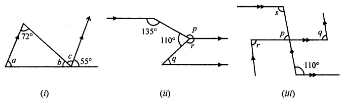 ML Aggarwal Class 7 Solutions for ICSE Maths Chapter 10 Lines and Angles Objective Type Questions 22