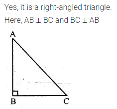 ML Aggarwal Class 7 Solutions for ICSE Maths Chapter 11 Triangles and its Properties Ex 11.1 8